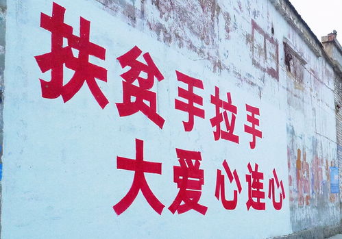干部下沉，智治融合 岳西縣以社會咨詢服務推動基層治理現代化