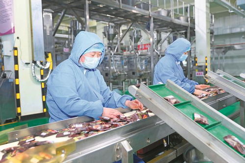 沖刺年度目標，助力企業產銷兩旺 社會經濟咨詢服務的核心價值
